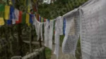 Tibetan Prayer Flags - Log, colour and B&W