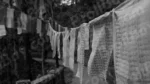 Tibetan Prayer Flags - Log, colour and B&W - Image 2