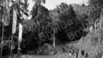 Hills Road Gangtok - Log, colour and B&W - Image 2