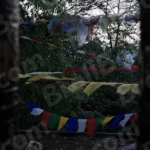 Tibetan Prayer Flags - Log, colour and B&W