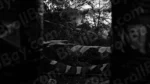 Tibetan Prayer Flags - Log, colour and B&W - Image 2