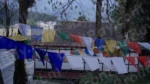 Tibetan Prayer Flags - Log, colour and B&W