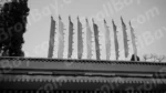 Tibetan Prayer Flags - Log, colour and B&W - Image 2