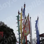 Buddhism Flag - Log, colour and B&W