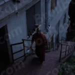 A Monk is Climbing Stairs - Log, colour and B&W
