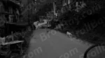 Dogs are Walking on Mountain Road - Log, colour and B&W - Image 2