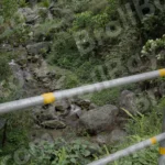 A Small River - Log, colour and B&W