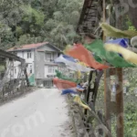 Tibetan Flags on Bridge - Log, colour and B&W