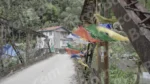 Tibetan Flags on Bridge - Log, colour and B&W