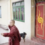 Monk Kids Are Playing - Log, colour and B&W