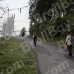 People are Tracking on Mountain Road - Log, colour and B&W