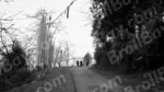 People are Walking on Mountain Roadside - Log, colour and B&W - Image 2