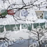 Tibetan Flag - Log, colour and B&W