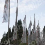 Prayer Flags - Log, colour B&W
