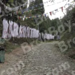 Prayer Flags on the Roadside - Log, colour and B&W