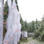 Prayer Flags on Roadside - Log, colour and B&W