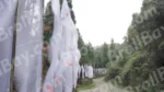 Prayer Flags on Roadside - Log, colour and B&W