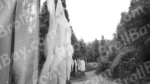 Prayer Flags on Roadside - Log, colour and B&W - Image 2
