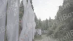 Prayer Flags on Roadside - Log, colour and B&W - Image 3