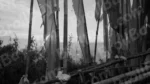 Prayer Flags in Gangtok - Log, colour and B&W - Image 2