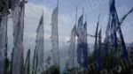Prayer Flags in Gangtok - Log, colour and B&W