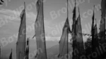 Prayer flags - Log, colour and B&W - Image 2