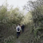 People Are Walking Through the Forest - Log, colour B&W