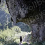 A Man Walking Through the Mountain Forest - Log, colour and B&W