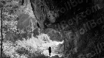 A Man Walking Through the Mountain Forest - Log, colour and B&W - Image 2