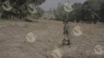 A woman manually Harvesting a Wheat Crop - Log, colour and B&W - Image 3