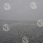 Lotus Lake - Log, colour and B&W