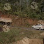 View of Road & Jungle In a Running Car - Log, colour and B&W