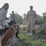 Woman Playing with Street Dogs - Log, colour and B&W