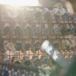 Displaying Watches in a Roadside Shop - Log, colour and B&W