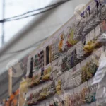 Earring in a Market - Log, colour and B&W