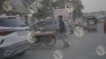 A Man Carrying a Stall of Fruits - Log, colour and B&W - Image 3