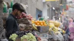 Boy Selling Fruits - Log, colour and B&W