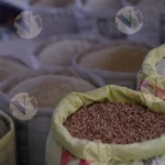 Lentil (Daal) - Log, colour and B&W